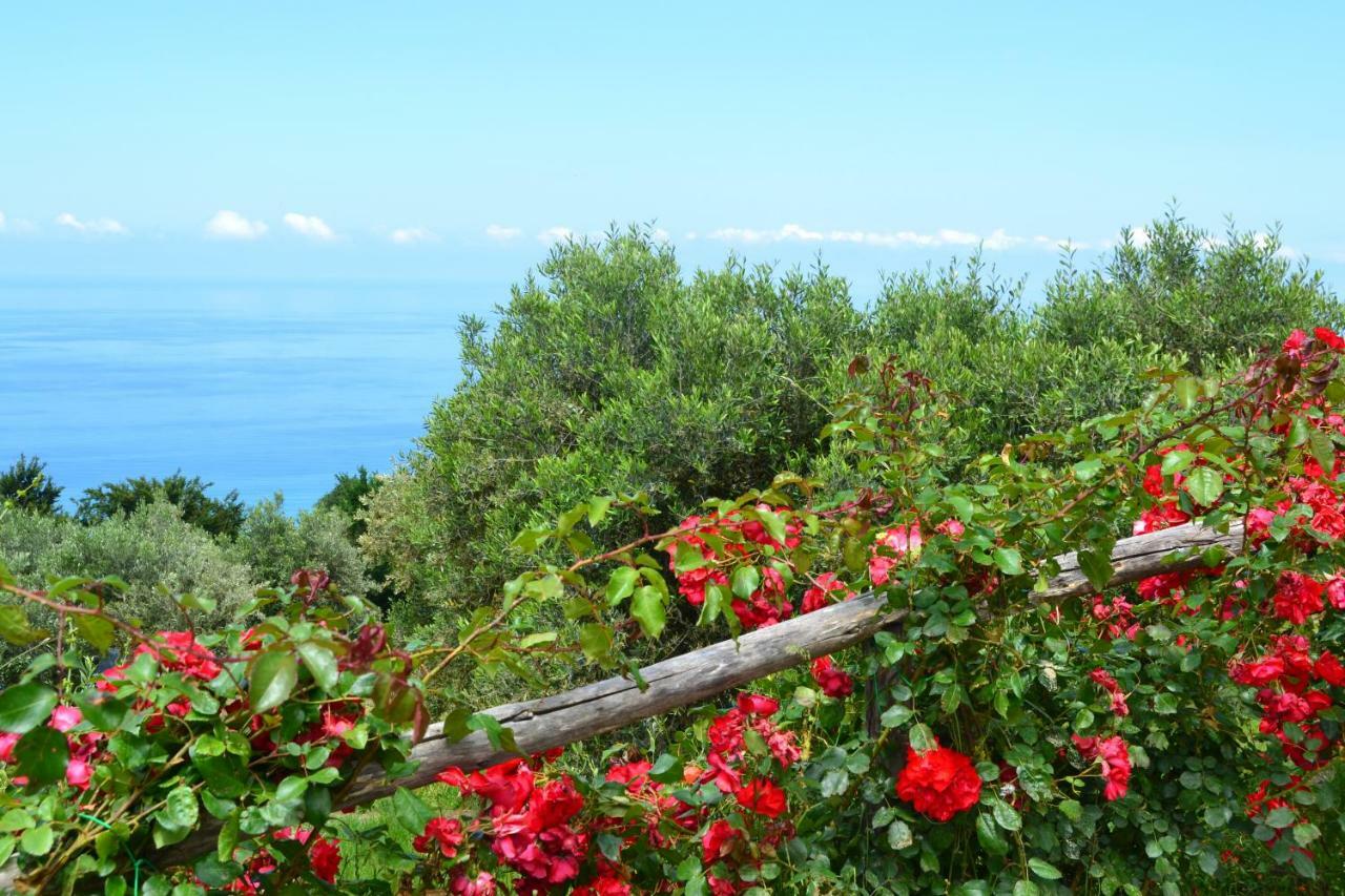 Borgo Rosso Di Sera Resort San Lucido Bagian luar foto