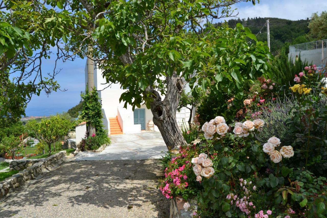 Borgo Rosso Di Sera Resort San Lucido Bagian luar foto